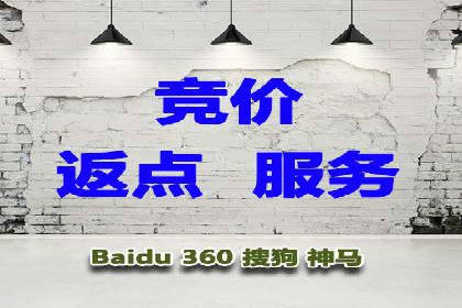 某企业通过SEM实现品牌与销售双增长的案例